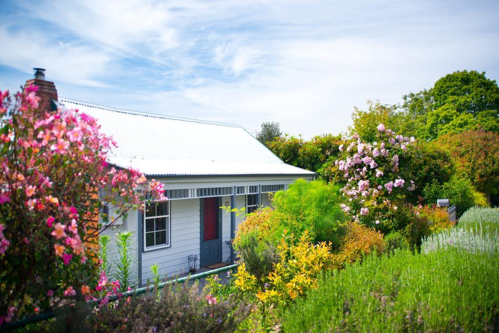 ديلسفورد Fortuna Cottage المظهر الخارجي الصورة